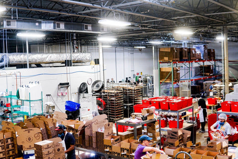 The Pretzel Company bakery 2024